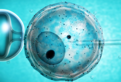 2026年度荆门三代试管婴儿费用参考,试管流程总览