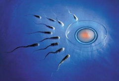 2026年张家口做试管婴儿费用大约多少?各阶段费用明细