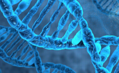 2026年在西安做三代试管生孩子的整体价格多少钱一次?费用明细解析