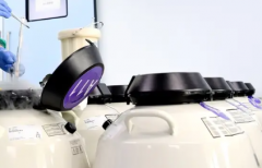 2026西安市最好私人医院排名公布(成功率与费用解析)