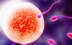 美国做试管助孕包成功可信吗?2026年价格与成功率权威对比