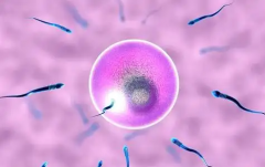 日照市人民医院接受无结婚证试管婴儿申请吗?费用及成功率详解