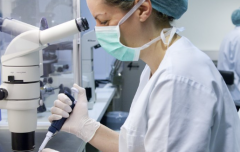 泰国试管婴儿包成功骗局曝光 试管婴儿真的能确保成功吗