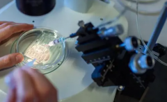 2026年单身女性在信阳市人民医院能做试管婴儿吗?