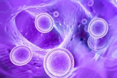 单身人士能在井冈山大学附属医院做第三代试管婴儿吗?成功率怎么样