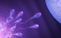 2026年长春三代试管婴儿包成功是真是假?流程步骤与注意要点