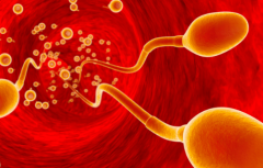 2026年单身做试管婴儿华西二院接受吗?流程一览!