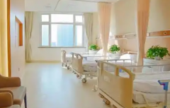 山东省青岛2026助孕机构详解:助孕公司比较好的是哪几家?