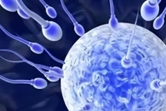 通化的单身女性可以去哪里做试管婴儿?梅河口市中心医院能做吗?