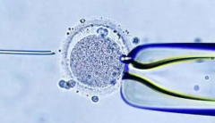 成都安琪儿医院单身试管成功率数据揭秘:真实案例分享