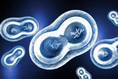 俄罗斯试管婴儿包成功背后猫腻 试管婴儿真的承诺成功吗