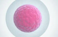 辽宁省单身女性在鞍山市妇儿医院做试管婴儿成功率有多高?