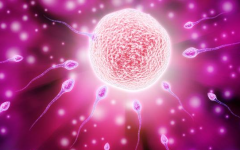 2026年单身人士在阳江人民医院做试管价格要多少?附详细费用明细