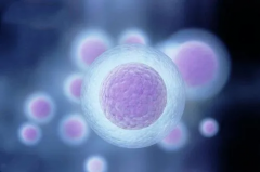 成都生殖中心医院单身女性试管婴儿成功率有多高?