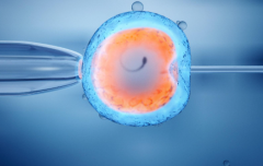 2026年未婚人士如何在浙江省做试管?浙江省人民医院可不可以做?