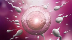 2026年天津三代试管包成功是骗局吗?附详细流程与必须注意的事项