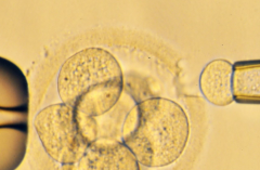 安徽合肥市做试管助孕包成功可信吗?2026年价格与成功率权威对比