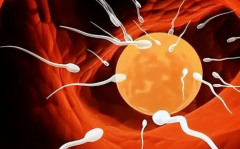 在济南市找试管婴儿私立医院包成功服务是真的吗?还是骗钱套路?