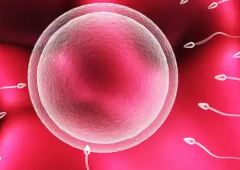 天津武警特色医院为单身做试管婴儿的成功几率大吗?