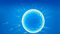 杭州市做三代试管助孕一般花费多少钱,附2026年试管移植全套费用明细