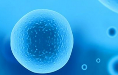 未婚女性去浙大四院做三代试管可行吗?成功几率高吗?